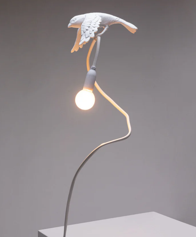 lampada con pinza