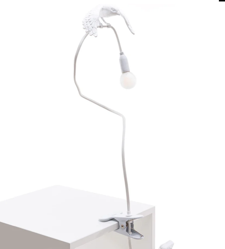 lampada con pinza